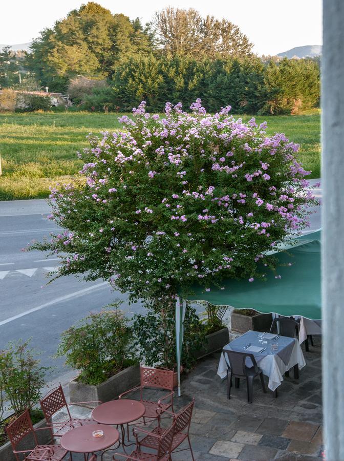 Tuscan Sun Holiday Apartments Лукка Экстерьер фото